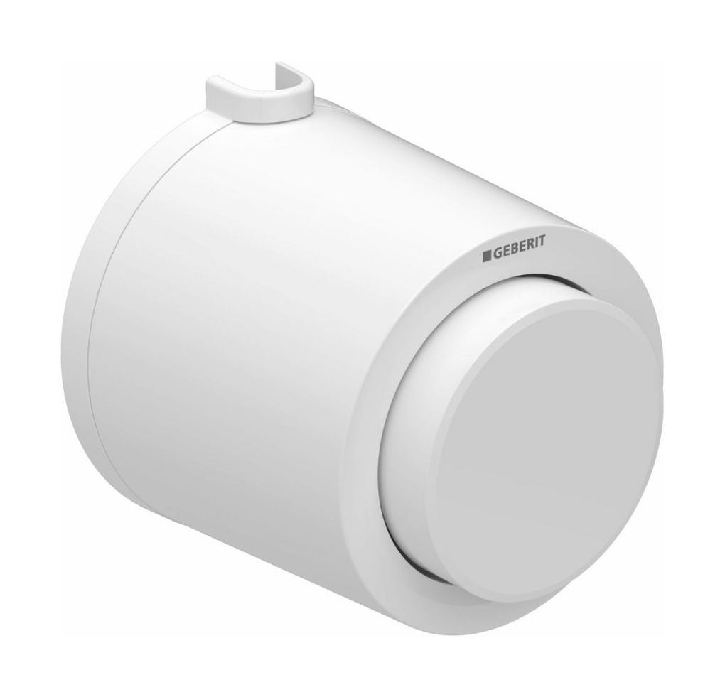 Geberit Typ 01 bouton de chasse d'eau pour WC blanc 116.046.11.1