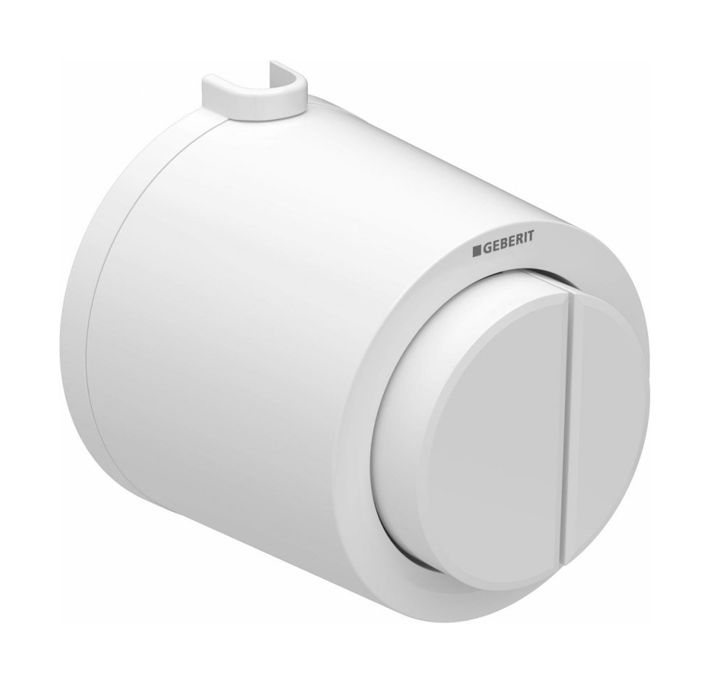 Geberit Typ 01 bouton de chasse d'eau pour WC blanc 116.048.11.1