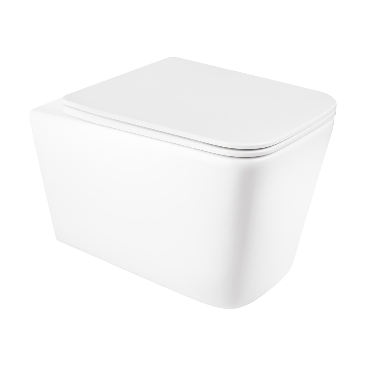 Hagser Lina cuvette wc avec abattant à descente lente suspendue oui blanc HGR60000042