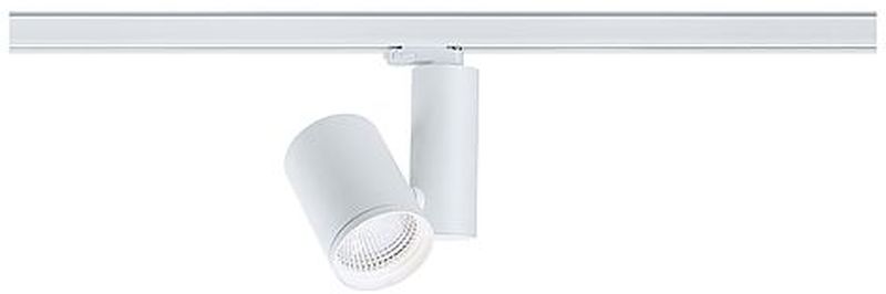 Paulmann ProRail3 lampe pour rail collecteur 1x33 W blanc 91350