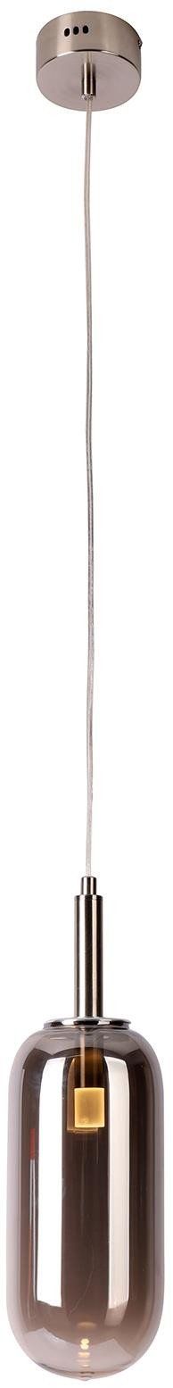 Ledea Fiuggi lampe suspendue 1x6 W argenté 50133214