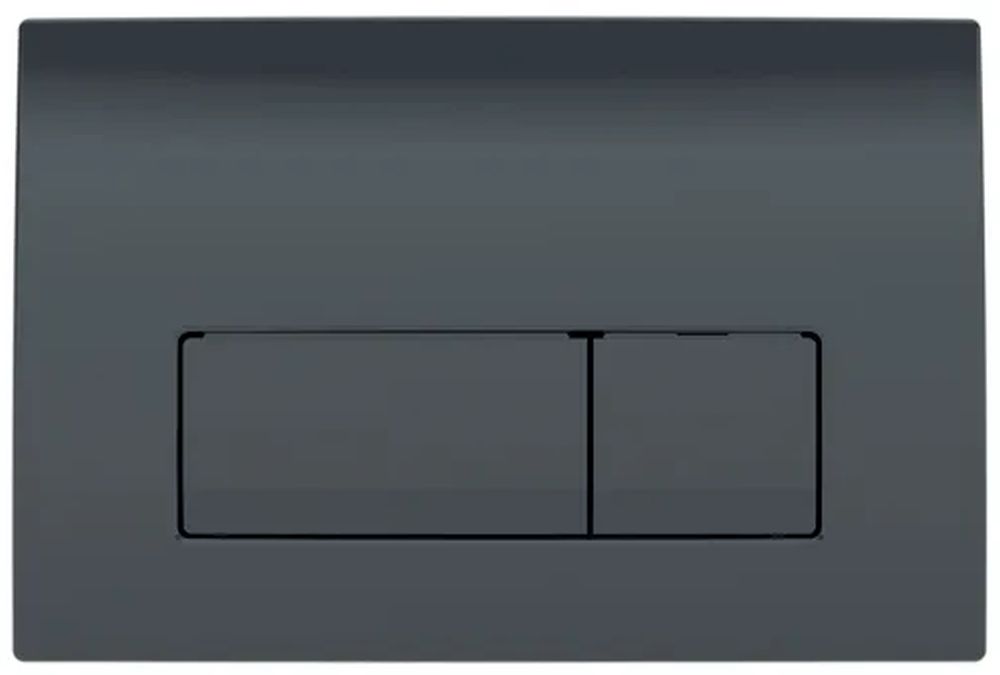 Geberit Delta bouton de chasse d'eau pour WC noir 115.119.DW.1