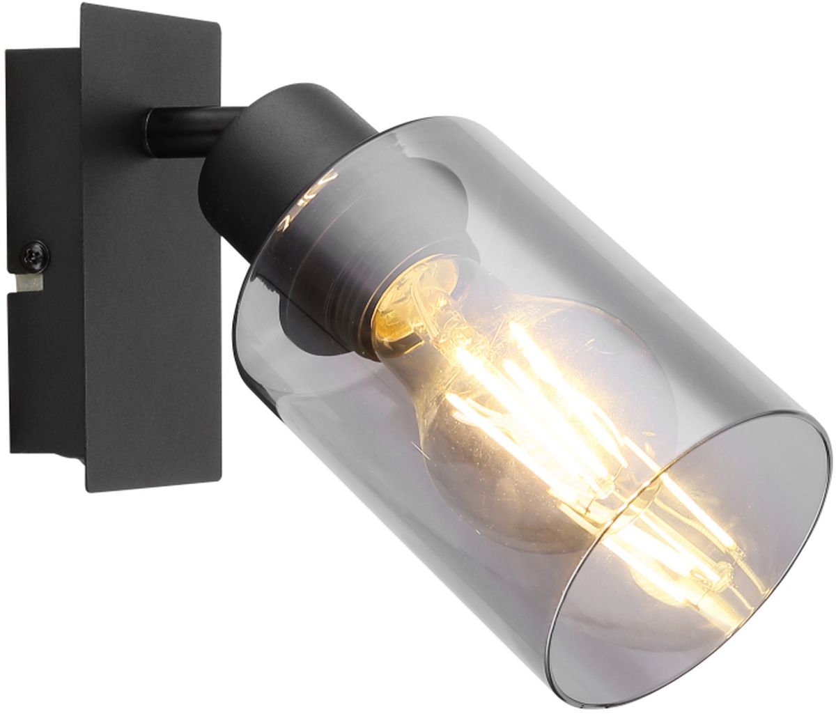 Globo Lighting Hadera applique murale 1x15 W noir-fumé 15465-1