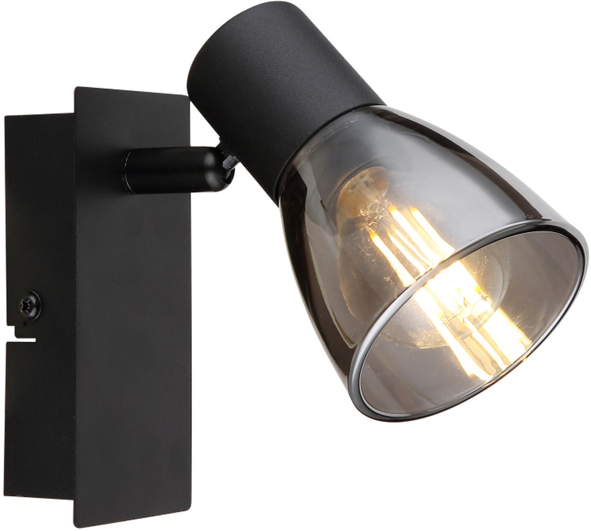 Globo Lighting Claude applique murale 1x40 W noir-fumé 54307-1
