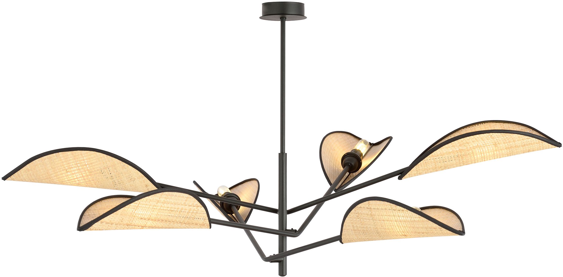 Emibig Vene plafonnier 6x10 W noir-beige 1160/6