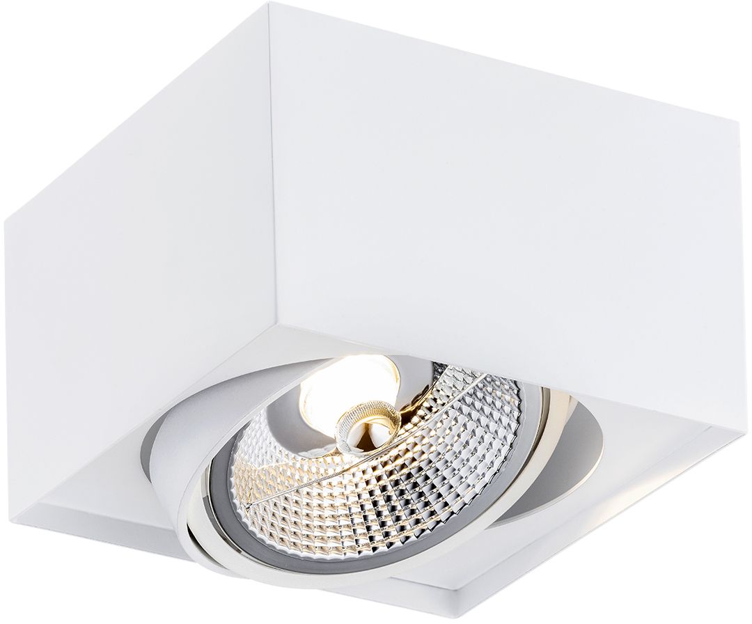 Argon Rodos Plus plafonnier 1x12 W blanc 4753BZ