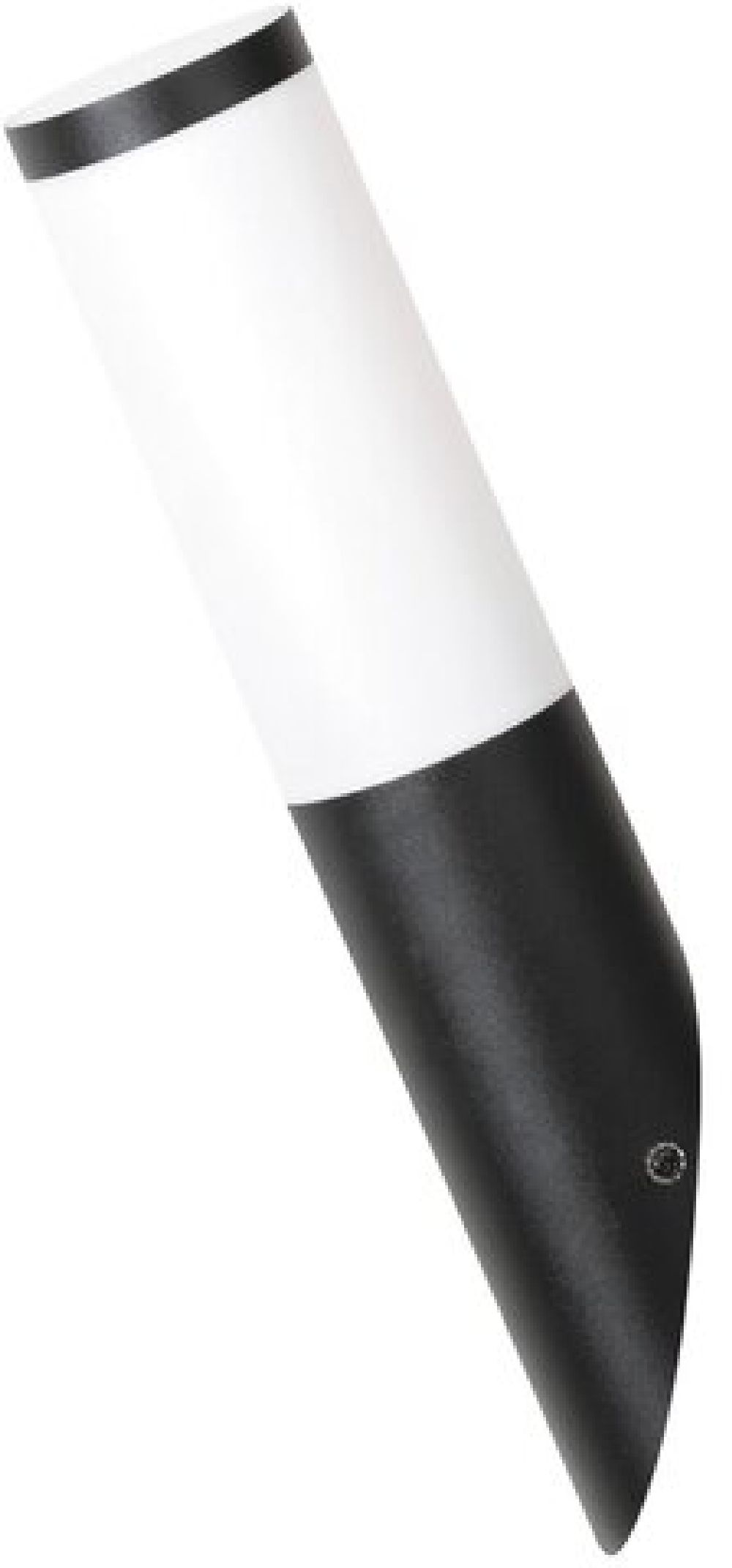 Rabalux Black torch applique murale extérieure 1x25 W noir 8145