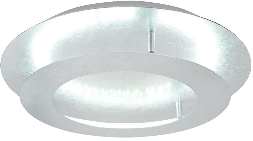 Candellux Merle plafonnier 1x24 W argenté 98-66206