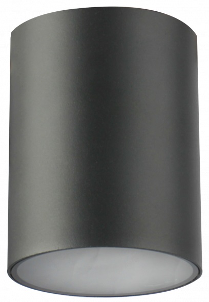 GTV Lento plafonnier 1x35 W graphite OS-LEN100OKG-30