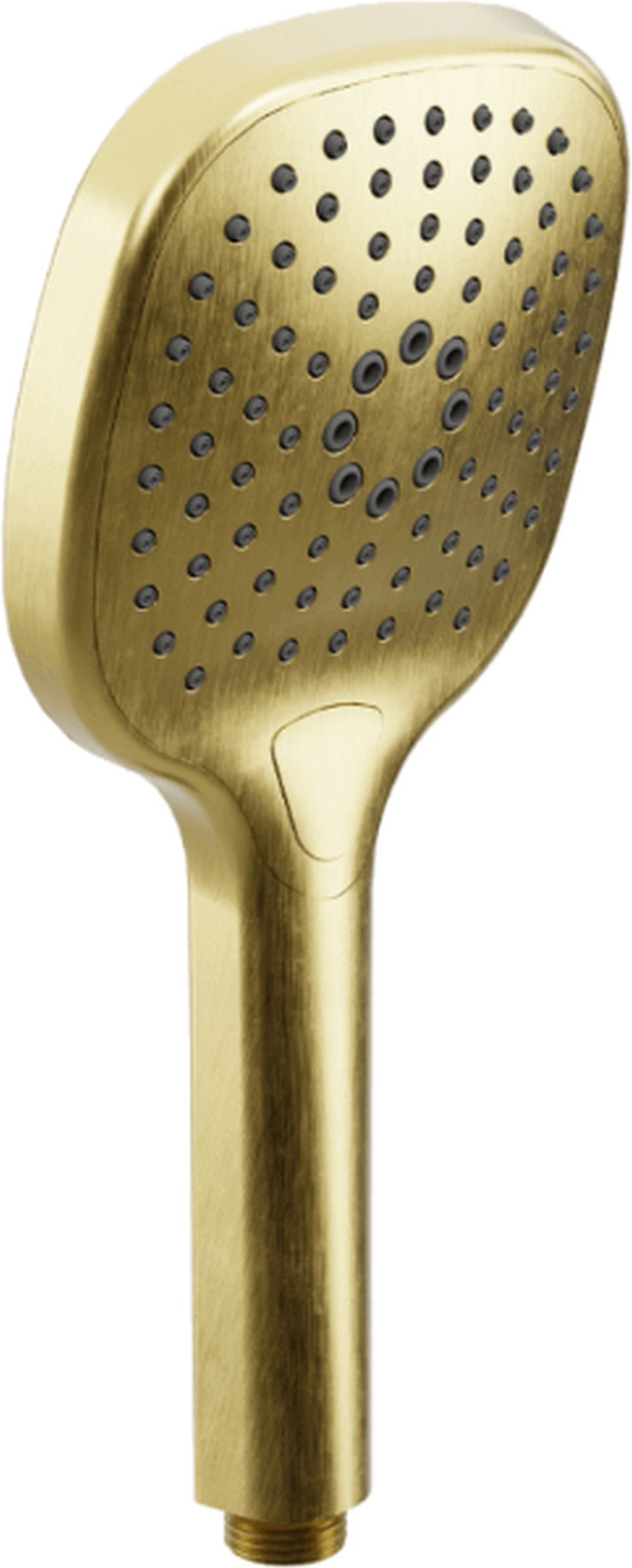 Excellent Auris pommeau de douche doré AREX.SH.100GB