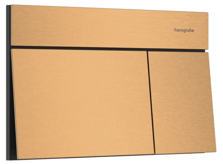 Hansgrohe Element E bouton de chasse d'eau pour WC || 66003140