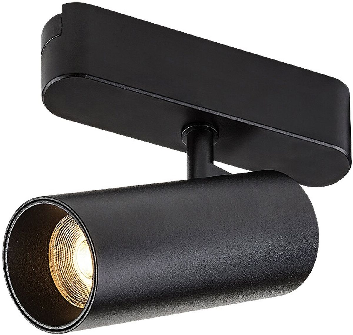 Rabalux LiTrack Spot lampe pour rail collecteur 1x10 W noir 70104