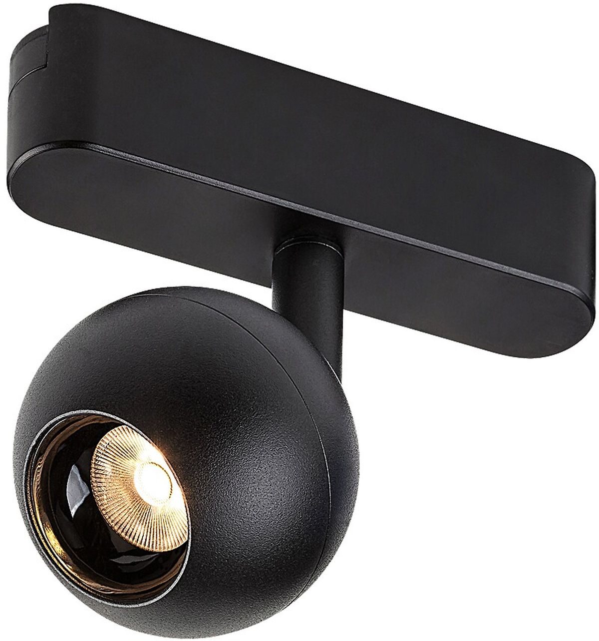 Rabalux LiTrack Spot lampe pour rail collecteur 1x5 W noir 70119