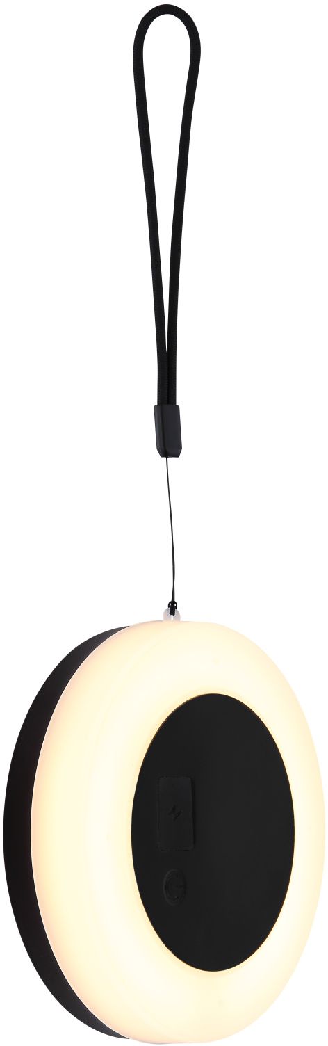 Globo Lighting Solar lampe solaire suspendue 1x3 W noir 36818