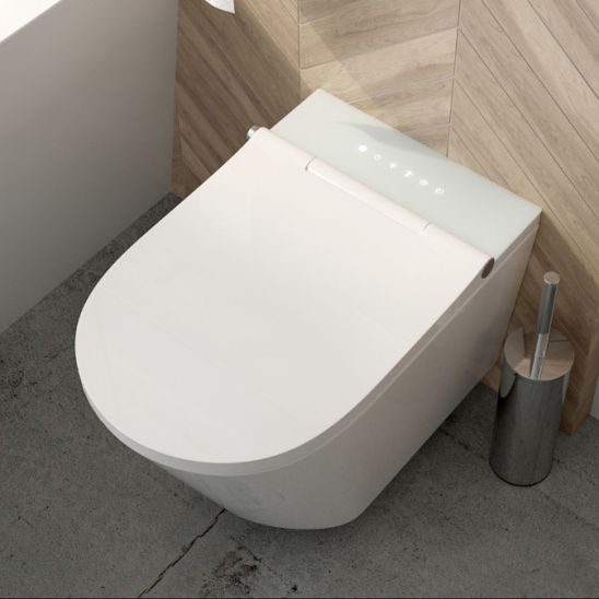 Set toilette lavante Oltens SmartFrisk 42038000, châssis encastré Oltens Triberg 50001000, 59019000
