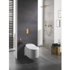 Set châssis encastré Grohe Rapid SL 38539001, bouton de chasse d'eau Grohe Skate 38732GL0