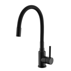 Alveus Flexa mitigeur de cuisine sur pied noir 1147056