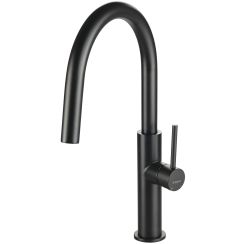 Deante Evora mitigeur de cuisine sur pied noir BQJEN62M