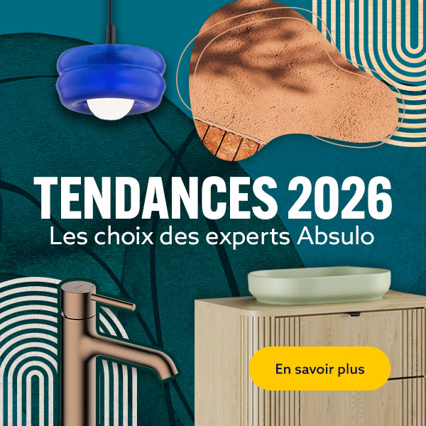 Les choix des experts Absulo